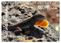 Wilde Fauna - Reptilien (Tischkalender 2024 DIN A5 quer), CALVENDO Monatskalender