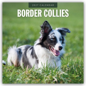 Red, Robin. Border Collies - Border Collie 2027 - 16-Monatskalender - Original Red Robin Publishing Ltd-Kalender [Mehrsprachig] [Kalender]. Browntrout Verlags GmbH, 2026.