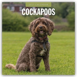 Red, Robin. Cockapoos - Cockapoo 2027 - 16-Monatskalender - Original Red Robin Publishing Ltd-Kalender [Mehrsprachig] [Kalender]. Browntrout Verlags GmbH, 2026.