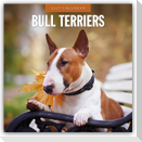 Bull Terriers - Bullterrier 2027 - 16-Monatskalender