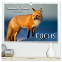 Fuchs - schlauer Räuber (hochwertiger Premium Wandkalender 2024 DIN A2 quer), Kunstdruck in Hochglanz