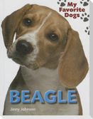 Beagle
