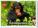 Schimpansen (Wandkalender 2024 DIN A4 quer), CALVENDO Monatskalender