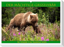 Der mächtige Gizzlybär (Wandkalender 2025 DIN A2 quer), CALVENDO Monatskalender