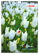 Tulpen. Bunter Frühling (Wandkalender 2024 DIN A4 hoch), CALVENDO Monatskalender