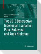 Two 2018 Destructive Indonesian Tsunamis: Palu (Sulawesi) and Anak Krakatau
