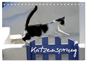 Katzensprung (Tischkalender 2024 DIN A5 quer), CALVENDO Monatskalender