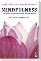 Mindfulness : guía práctica