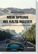 Mein Sprung ins kalte Wasser