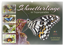 Schmetterlinge im Tropenparadies (Wandkalender 2024 DIN A2 quer), CALVENDO Monatskalender