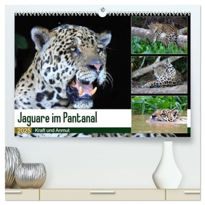 und Michael Herzog, Yvonne. Jaguare im Pantanal (hochwertiger Premium Wandkalender 2025 DIN A2 quer), Kunstdruck in Hochglanz - Jaguare in ihrem natürlichen Lebensraum. Calvendo, 2024.