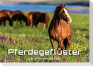 Pferdegeflüster - Der Pferdekalender - 2027 - Kalender DIN A2