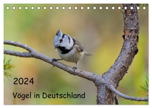 Jähne, Karin. Vögel in Deutschland (Tischkalender 2024 DIN A5 quer), CALVENDO Monatskalender - Einheimische und Zugvögel in Sachsen.. Calvendo Verlag, 2023.