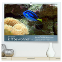 Riffbewohner - Bunte Fische, Anemonen und noch viel mehr (hochwertiger Premium Wandkalender 2024 DIN A2 quer), Kunstdruck in Hochglanz