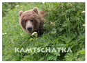 Aug in Aug mit den Braunbären in Kamtschatka (Wandkalender 2024 DIN A2 quer), CALVENDO Monatskalender