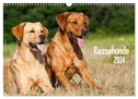 Rassehunde (Wandkalender 2024 DIN A3 quer), CALVENDO Monatskalender