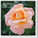 Roses - Rosen 2027 - 16-Monatskalender