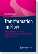 Transformation im Flow