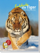 Entdecke die Tiger