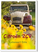 Citroën 2CV - Lebensart Ente (Wandkalender 2024 DIN A3 hoch), CALVENDO Monatskalender