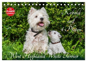 Starick, Sigrid. Kobold auf 4 Pfoten - West Highland White Terrier (Tischkalender 2024 DIN A5 quer), CALVENDO Monatskalender - West Highland White Terrier begleiten auf bezaubernden Fotos durch das Jahr. Calvendo, 2023.
