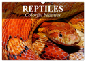 Reptiles Colorful beauties (Wall Calendar 2024 DIN A3 landscape), CALVENDO 12 Month Wall Calendar