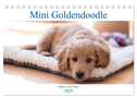 Mini Goldendoodle - Glück ist ein Hund (Tischkalender 2025 DIN A5 quer), CALVENDO Monatskalender