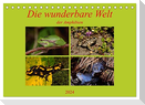 Die wunderbare Welt der Amphibien (Tischkalender 2024 DIN A5 quer), CALVENDO Monatskalender