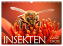 Insekten ganz gross (Wandkalender 2024 DIN A3 quer), CALVENDO Monatskalender