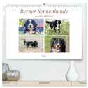 Berner Sennenhunde machen glücklich (hochwertiger Premium Wandkalender 2025 DIN A2 quer), Kunstdruck in Hochglanz