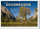 Großer Ahornboden - Europas großer Ahornwald (Wandkalender 2024 DIN A2 quer), CALVENDO Monatskalender