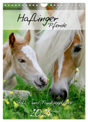 Haflinger Pferde - Stall- und Familienplaner 2024 (Wandkalender 2024 DIN A4 hoch), CALVENDO Monatskalender