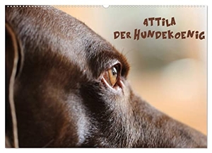 Hultsch, Heike. Attila, Der Hundekönig (Wandkalender 2024 DIN A2 quer), CALVENDO Monatskalender - Die vielen Gesichter des Attila H.. Calvendo Verlag, 2023.
