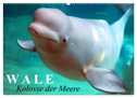 Wale - Kolosse der Meere (Wandkalender 2024 DIN A2 quer), CALVENDO Monatskalender