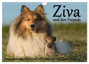 Ziva und ihre Freunde (Wandkalender 2025 DIN A4 quer), CALVENDO Monatskalender