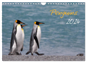 Penguins 2024 (Wall Calendar 2024 DIN A4 landscape), CALVENDO 12 Month Wall Calendar