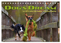 DOG'S DREAM - wovon Hunde träumen (Tischkalender 2024 DIN A5 quer), CALVENDO Monatskalender