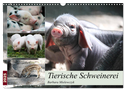 Tierische Schweinerei (Wandkalender 2025 DIN A3 quer), CALVENDO Monatskalender