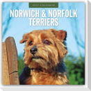 Norwich Terrier und Norfolk Terrier 2027 - 16-Monatskalender