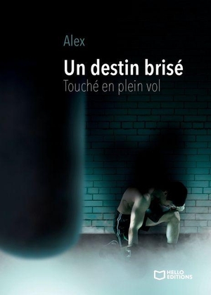 Alex. Un destin brisé - Touché en plein vol. Hello Editions, 2025.