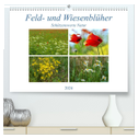 Feld- und Wiesenblüher Schützenswerte Natur (hochwertiger Premium Wandkalender 2024 DIN A2 quer), Kunstdruck in Hochglanz