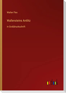 Wallensteins Antlitz