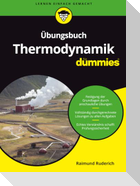 Übungsbuch Thermodynamik für Dummies