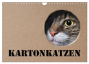 Karton Katzen (Wandkalender 2024 DIN A4 quer), CALVENDO Monatskalender
