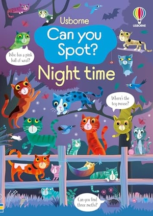 Robson, Kirsteen. Can you Spot? Night time. Usborne Publishing  IWUK, 2025.