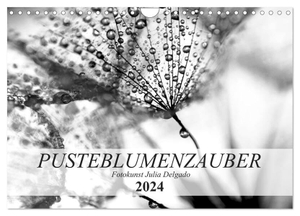 Delgado, Julia. Pusteblumenzauber in schwarzweiß (Wandkalender 2024 DIN A4 quer), CALVENDO Monatskalender - Phantastische Nahaufnahmen von Pusteblumen. Calvendo, 2023.