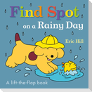 Find Spot on a Rainy Day