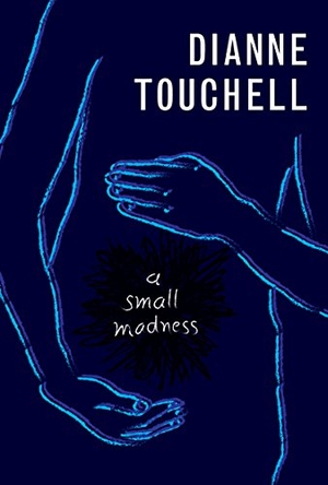 Touchell, Dianne. A Small Madness. Groundwood   HUB, 2016.