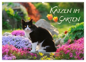 Menden, Katho. Katzen im Garten (Wandkalender 2024 DIN A2 quer), CALVENDO Monatskalender - Katzen fotografiert zwischen farbenfrohen Blumen und ländlicher Idylle.. Calvendo, 2023.