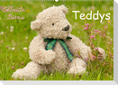 Geliebte Bären - Teddys (Wandkalender 2023 DIN A2 quer)
